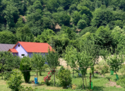 İcarəyə verilir 2 otaqlı 60 m2 bağ evi Oğuz