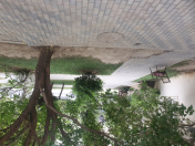 İcarəyə verilir 3 otaqlı 70 m2 köhnə tikili Megafun