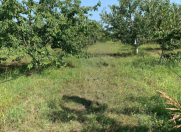 Satılır 117 sot torpaq Xaçmaz