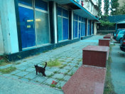 Satılır 6 otaqlı 270 m2 obyekt Keşlə bazarı