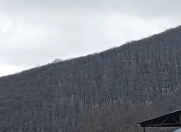 Satılır 10 sot torpaq Oğuz