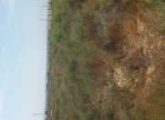 Satılır 25 sot torpaq Ləhic Bağları