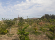 Satılır 4 otaqlı 120 m2 bağ evi Nardaran