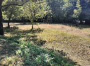 Satılır 35 sot torpaq Qəbələ