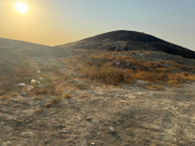 Satılır 10 sot torpaq Sulutəpə