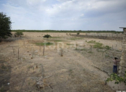 Satılır 30 sot torpaq Bilgəh