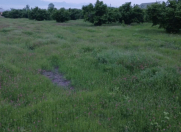 Satılır 223 sot torpaq Biləcəri