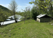 Satılır 6 sot torpaq Qəbələ