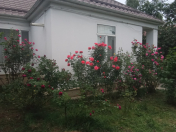 İcarəyə verilir 3 otaqlı 120 m2 həyət evi Qusar