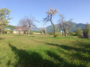 Satılır 32 sot torpaq İsmayıllı