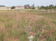 Satılır 5.5 sot torpaq Nardaran