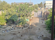 Satılır 7 otaqlı 300 m2 villa Zığ