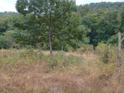 Satılır 170 sot torpaq Quba