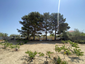 Satılır 20 sot torpaq Sumqayıt