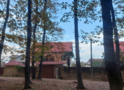 Satılır 7 otaqlı 280 m2 bağ evi Lənkəran