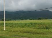 Satılır 245 sot torpaq Qəbələ