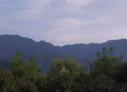 Satılır 10 sot torpaq Qəbələ