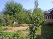 Satılır 5 otaqlı 1000 m2 həyət evi Qəbələ