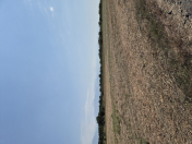 Satılır 4 sot torpaq Qax