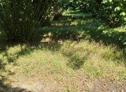 Satılır 54 sot torpaq Zaqatala