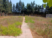 Satılır 1 otaqlı 100 m2 həyət evi Nardaran