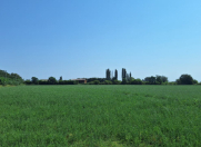 Satılır 40 sot torpaq İmişli