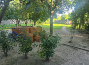 Satılır 7 sot torpaq Qəbələ