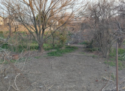 Satılır 3 sot torpaq Əhmədli