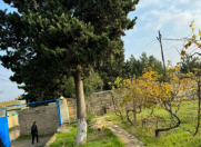 Satılır 3 otaqlı 130 m2 bağ evi Görədil