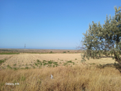 Satılır 1.38 sot torpaq Şabran