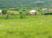 Satılır 20 sot torpaq Qusar