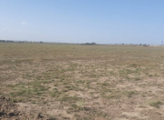 Satılır 223 sot torpaq Binəqədi