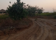 Satılır 12 sot torpaq Pirşağı