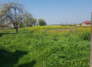 Satılır 5 otaqlı 251 m2 həyət evi Masallı