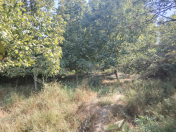 Satılır 20 sot torpaq Ağcabədi