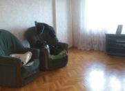 İcarəyə verilir 2 otaqlı 60 m2 köhnə tikili Nəsimi r.