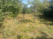 Satılır 8 sot torpaq Quba