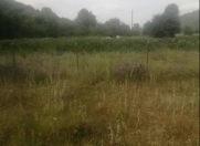 Satılır 15 sot torpaq Quba