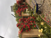 Satılır 5 otaqlı 160 m2 həyət evi Şamaxı