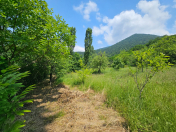 Satılır 8 sot torpaq Qəbələ