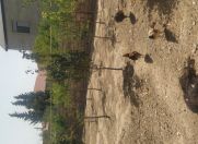 Satılır 4 sot torpaq Mehdiabad