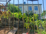 Satılır 8 otaqlı 150 m2 bağ evi Siyəzən