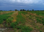 Satılır 1.42 sot torpaq Qusar