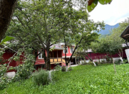 İcarəyə verilir 4 otaqlı 120 m2 bağ evi Qax