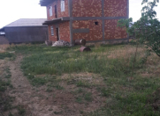 Satılır 5 otaqlı 200 m2 həyət evi Naxçıvan