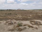 Satılır 2370 sot torpaq Türkan