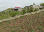 Satılır 6 sot torpaq Şamaxı