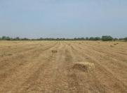 Satılır 50 sot torpaq Xızı