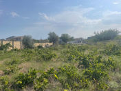 Satılır 15 sot torpaq Novxanı