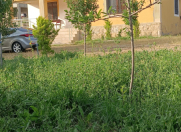 İcarəyə verilir 3 otaqlı 100 m2 bağ evi Xızı